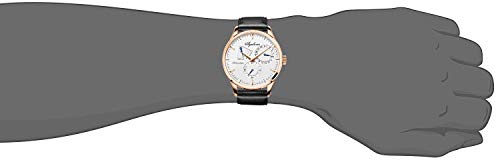 Agelocer Men's Luxury Mechanical Automatic Calendar Analog Watches
