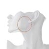 Hoop Earrings Silvertone Goldtone Rosegold Nicole Miller New York Set