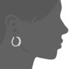 Platinum Plated Sterling Silver Hoop Earrings set