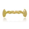 LuReen Vampire Fangs Gold Silver Bottom 6 Teeth