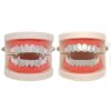 Diamond Silver Grillz Teeth Vampire Fangs and Silver