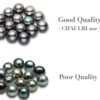 CHAULRI Authentic 9-10mm South Sea Tahitian Black Pearl Pendant