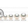 14K Gold 10-11mm Freshwater Cultured Floating Pearl Tin Cup Chain
