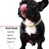 Gold Chain Dog Collar-15mm Necklace
