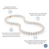 THE PEARL SOURCE 14K Gold AAA Quality Round Pearl Necklace