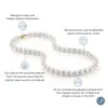 THE PEARL SOURCE 14K Gold 5.0-5.5mm AAAA Quality White Pearl Necklace