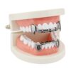 OOCC 18K Gold Plated Hip Hop Teeth Grillz Caps Iced Out