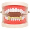 LuReen Vampire Fangs Gold Silver Bottom 6 Teeth