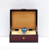 Chris Aire Authentic Designer - Luxury Watches - Parlay GMT