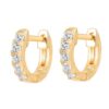 PAVOI 14K Yellow Gold Plated Mid Size Earrings