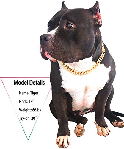 Gold Chain Dog Collar-15mm Necklace