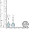 Gem Stone King Sterling Silver Long Drop Dangle Earrings