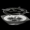 Agelocer Top Brand Automatic Stainless Steel Mechanical Men's Watch