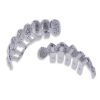 Diamond Tehran Zircon Trippie Redd 14 Vampire Fangs
