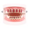 18K Gold with Red Blue Pink Diamond Top and Bottom Grills