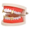 14K Gold Plated Vampire Fang Grillz Set – Perfect for Costume Parties & Bold Looks!