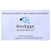 DovEggs 10K White Gold 1.0 Carat G-H-I Color