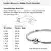 Pandora Jewelry Iconic Moments Snake Chain