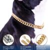 Gold Chain Dog Collar-15mm Necklace