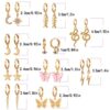Gold Hoop Butterfly Earrings with Charm
