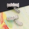 Diamond Silver Grillz Teeth Vampire Fangs and Silver
