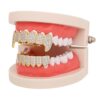 LuReen Gold Teeth Grillz Pave CZ Vampire Fangs Grillz for You