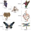 Dragonfly Butterfly Women Brooch Set Crystal Pin Vintage 7 Pieces