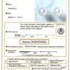 THE PEARL SOURCE 14K Gold 9-9.5mm Hanadama