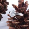 DovEggs 10K White Gold 1.0 Carat G-H-I Color