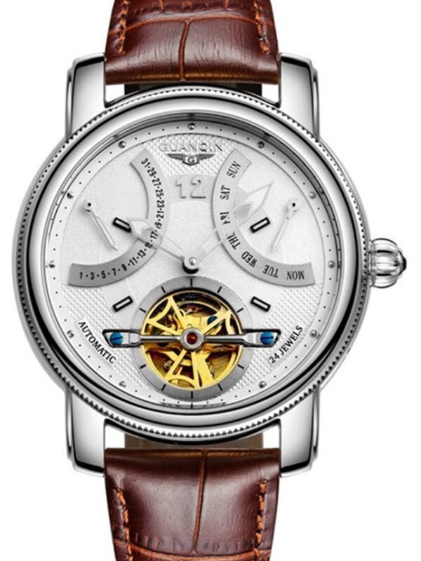Skeleton Watch Waterproof Brown Genuine Leather Automatic Mechanical Wrist Watch