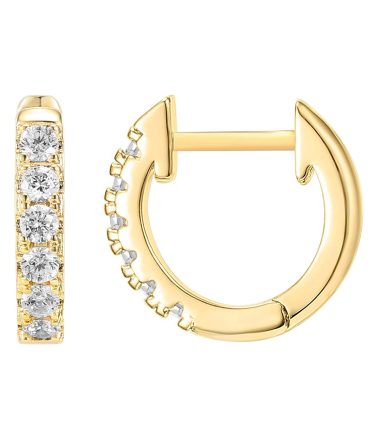 PAVOI 14K Yellow Gold Plated Mid Size Earrings