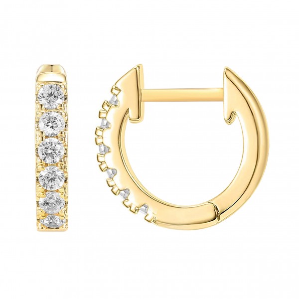 PAVOI 14K Yellow Gold Plated Mid Size Earrings
