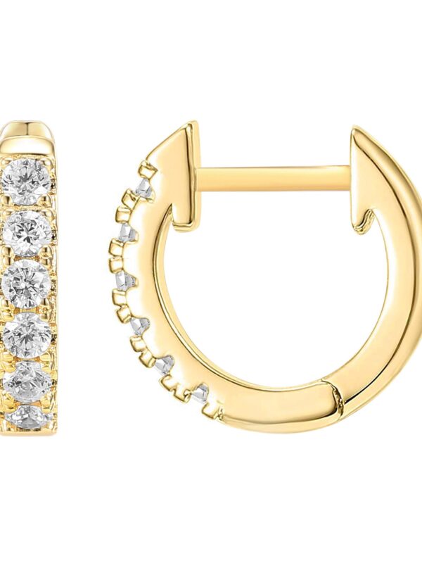 PAVOI 14K Yellow Gold Plated Mid Size Earrings