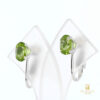 Gem Stone King Sterling Silver Green Peridot Women