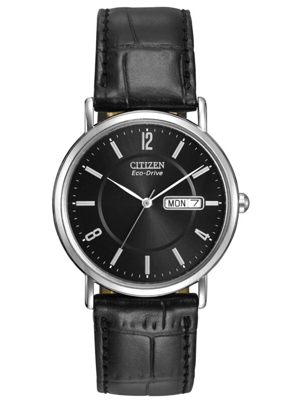 Citizen Men's Eco-Drive Stainless Steel Watch with Date