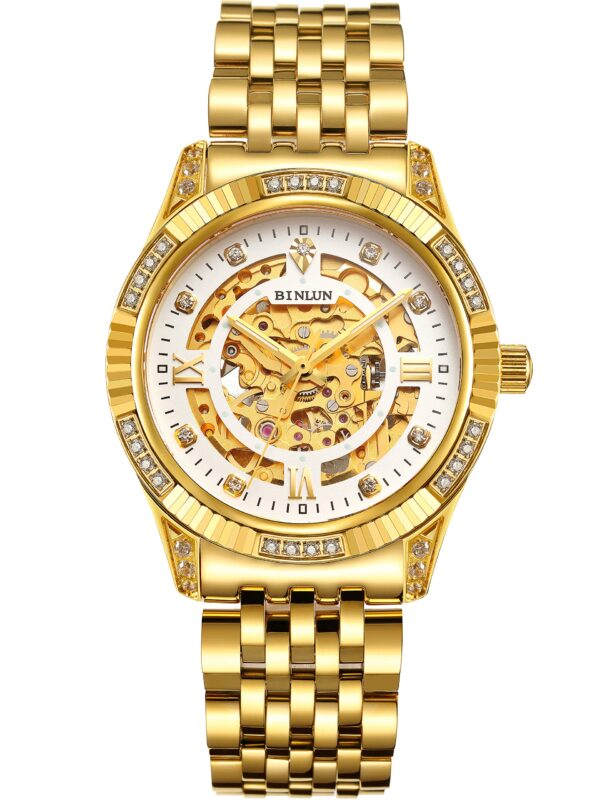 BINLUN 18K Gold Plated Automatic Wrist Watches for Men
