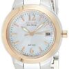 Citizen Women's Eco-Drive Watch with Date