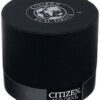 Citizen Eco-Drive Silver- and Gold-Toned Watch for Women